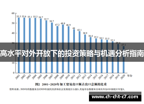 高水平对外开放下的投资策略与机遇分析指南