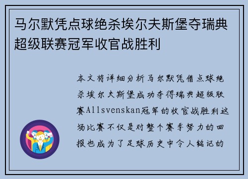 马尔默凭点球绝杀埃尔夫斯堡夺瑞典超级联赛冠军收官战胜利